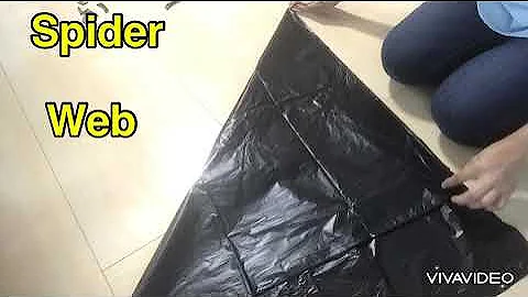 Spider Web ( trash bag )