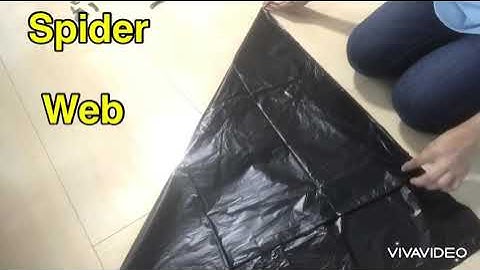 Spider Web ( trash bag )