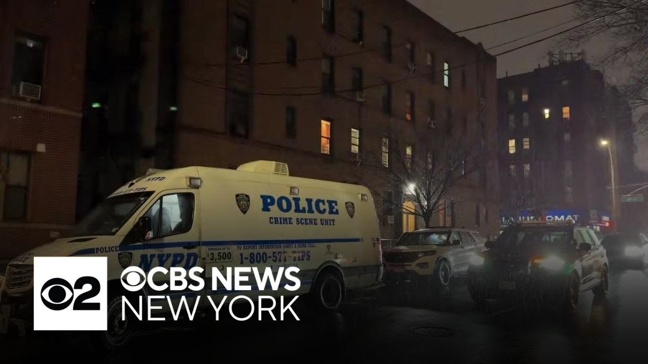 75-year-old man fatally slashed in Queens apartment building