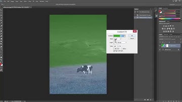 Photoshop Essentials - Gradient Fill layer and its options