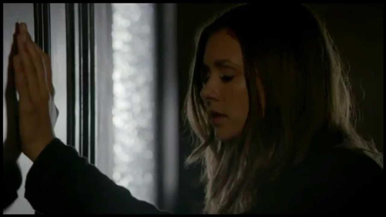 Волки с надписями. Когда нибудь меня полюбят. Жить надо с юмором или с психиатром. Чувствую тебя душой. Знаешь дружок я за тобой чую грешок.