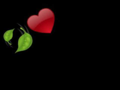 شيلاك فى نين عيني ياعينى ورده حالات واتس