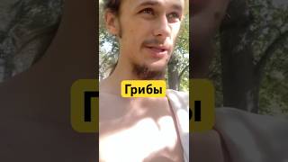Грибы #гипнокоучинг #микомистицизм