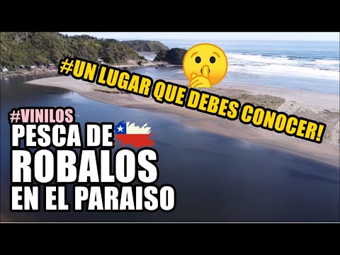 Video: ¿De dónde es el róbalo chileno?