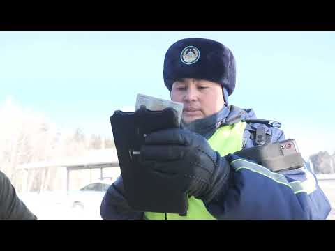 СҚО-да полицейлер мал ұрлығына қарсы ауқымды іс-шара бастады