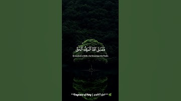 "صوت هادئ وقرآن يريح القلب 📖✨"#إسلام_صبحي #قرآن #راحة #تلاوة` #اكسبلور #المصحف #الرحمن #ذكر_الله