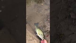 Drop I Front Of This Drain Pipe And Hang On Thump