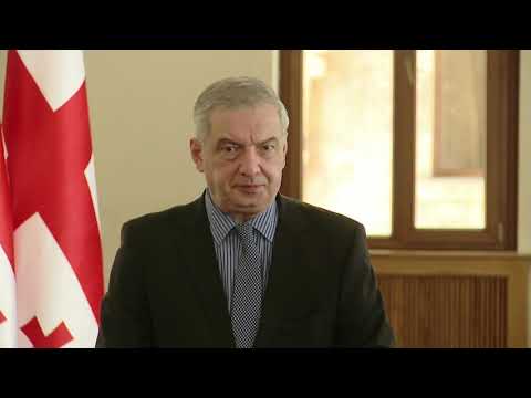 ვერ წარმომიდგენია, ვინმე გამოჩნდეს, ვინც გარიგებაში შევა ნაცმოძრაობასთან - ვოლსკი