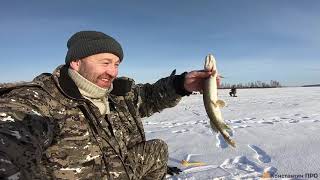 Зимняя рыбалка плюс анекдот, хорошо отдохнули!