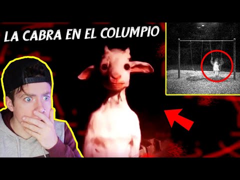 Video: El Caso De Las Cabras Que Vomitan