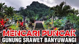 Download Lagu MENCARI PUNCAK GUNUNG SRAWET BANYUWANGI | Ketinggian hanya sekitar 274 MDPL MP3 Download Lagu MENCARI PUNCAK GUNUNG SRAWET BANYUWANGI | Ketinggian hanya sekitar 274 MDPL MP3