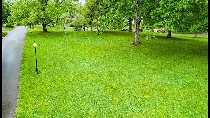 164 E Glenwood - Neighborhood Park
