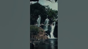 واتس اب قران كريم القارئ ياسر دوسري (سوره الماعون)