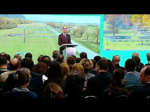 საერთაშორისო კონფერენცია