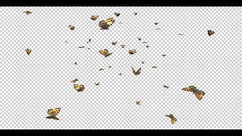Flying Butterfly Swarm - Eurasian Tortoiseshell - Transparent Loop - 4K