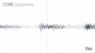 Egophony Recording & Waveform | Eko Health screenshot 2