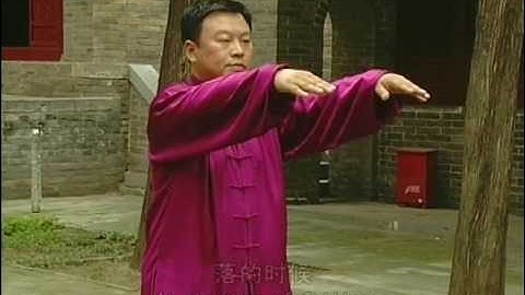 張東武 Zhang Dongwu - 老架二路 Laojia Erlu (Old Frame Second Form) 炮捶 Paochui (Cannon Fist) 1