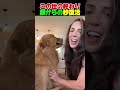この世の終わり顔からの秒復活