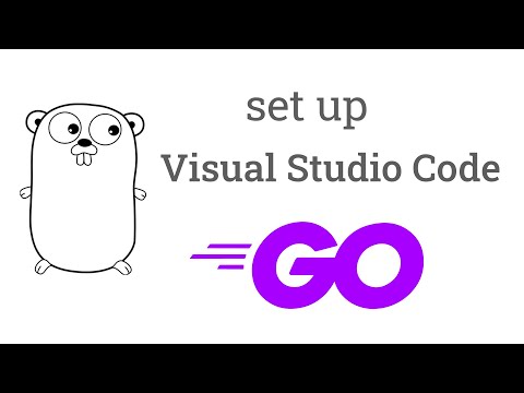 How to Set Up Visual Studio Code for golang ( Go Language )