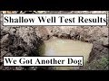 #358 - Shallow Well Water TEST Results, Got A New Dog, Finished Back Door