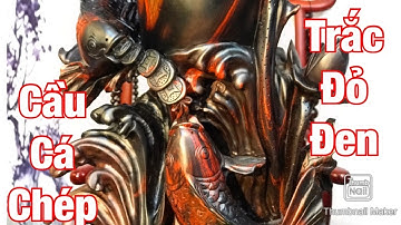 Cầu cá chép trắc đỏ đen với 3 chú cá chép to đẹp mà sắc sang trọng Nguyễn Hồng 0966336318