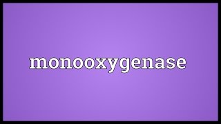 Monooxygenase Meaning