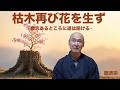 禅語「枯木再生花」香林院法話 第400回