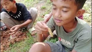 amzat telan ratu rayap @ kang supri