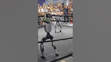 Real robot boxing competition 🤖 !! #robot #robotics #airobot #ai #technology#futuretech#realrobot