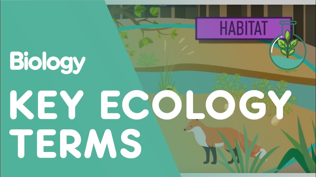 physical environment คือ  Update  Key Ecology Terms | Ecology and Environment | Biology | FuseSchool