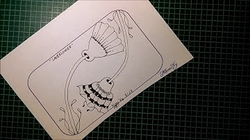 Daily Tangle  - Laceflower