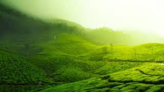सपने में हरियाली देखना । sapne me hariyali dekhna ।। greenery in dream