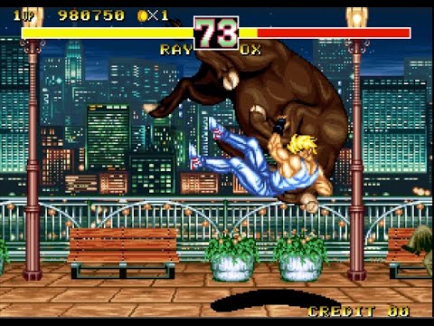 FIGHTER'S HISTORY インストラクションセット FIGHTER'S HISTORY インストラクションセット - メルカリ