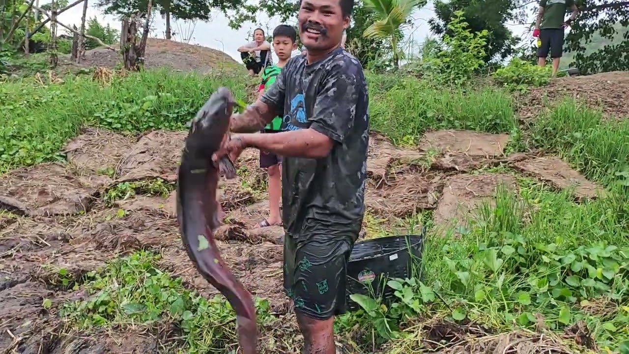 ကဲကဲမုဆိုးအိုင်ပက်နဲ့အနေအထားငါတကောင်ကိုပေါင်းလုံးလောက်ရှိတယ်