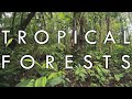 Tropical Forests - Biomes Episode 1