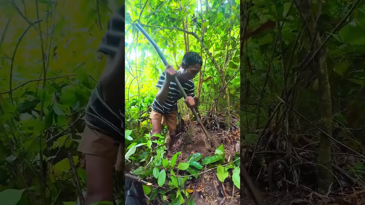 Mangubat na muna habang masama pa panahon para maka survive sa pang araw araw 😁