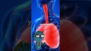 Huge lungs