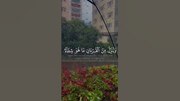 تلاوة خاشعة❤️ #اكسبلور #تلاوة_خاشعة #راحة_نفسية #quran #قرآن