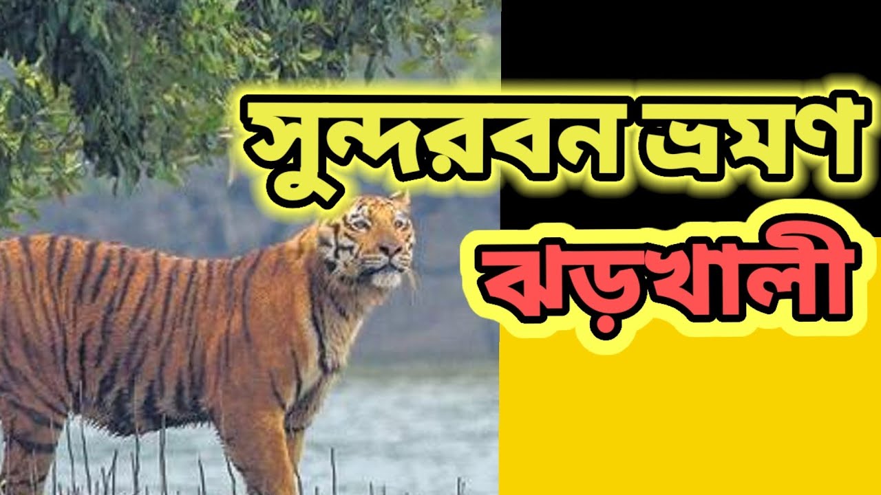 SundarbanTour#Sundarban Wild Animal Park# Sundarban Vromon Jharkhali#Tiger Rescue Centre