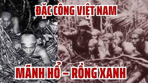 Đặc Công Việt Nam Hạ Gục Mãnh Hổ – Rồng Xanh Hàn Quốc 1967 Như Thế Nào?