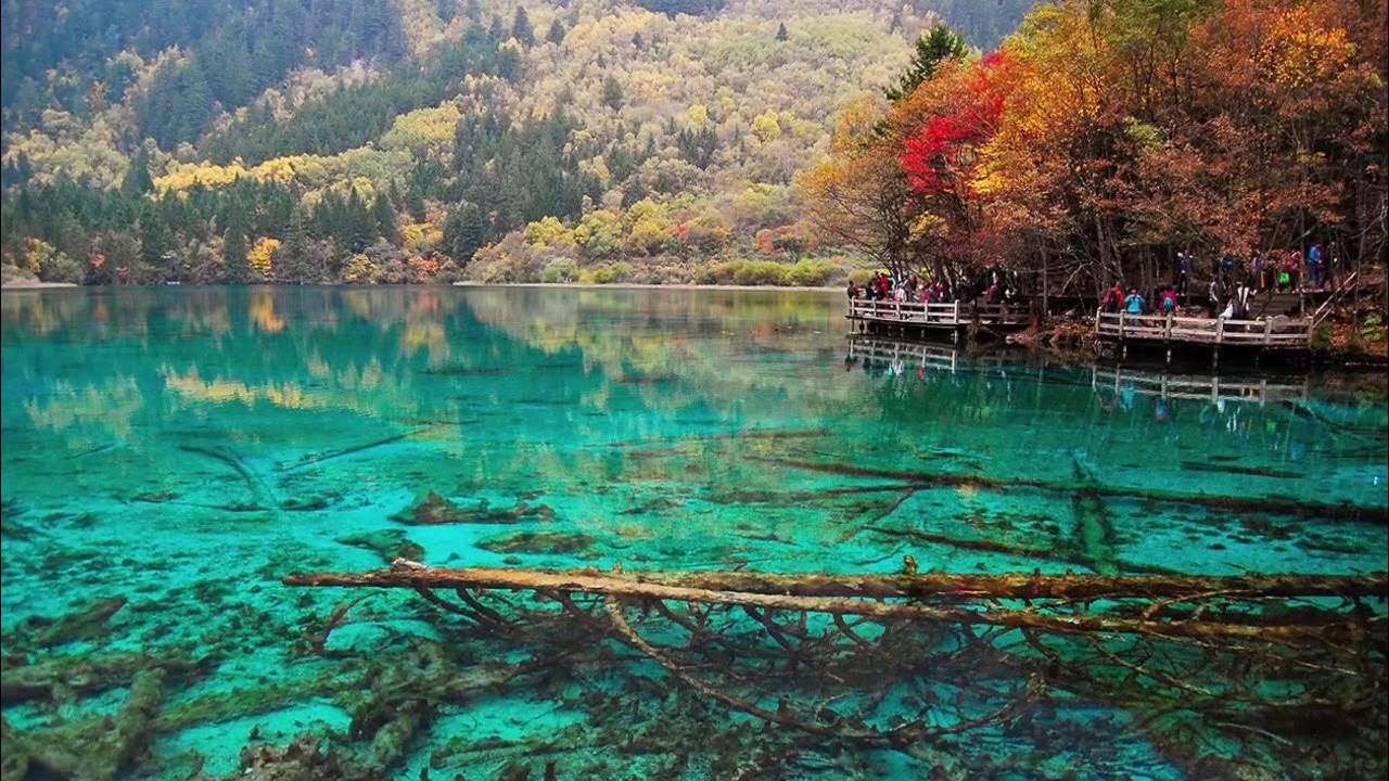 Five Lakes
