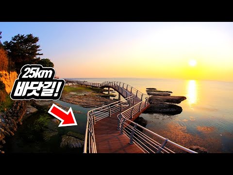   국내 최장 바다 데크길 무려 25km 해변 트레킹 코스 4 당일치기 대중교통 여행 The Longest Beach Trekking Course In Korea