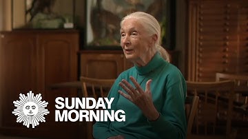 Jane Goodall