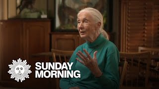 Jane Goodall's message of hope