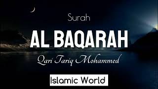 Surah Al Baqarah Full | Qari Tariq Mohammad | Outstanding Quran Recitation | Naat And Hamd360p screenshot 4