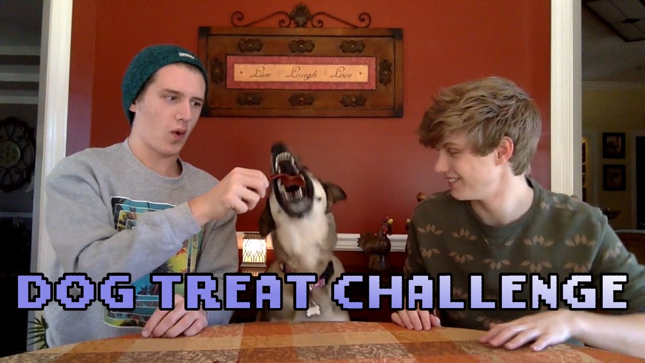 DOG TREAT CHALLENGE | MEET OUR DOG
