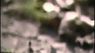 Dil Hanesi Pür Nur Olur (Müziksiz İlahi)