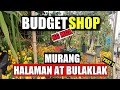 Murang HALAMAN at PANG GARDEN sa Guiguinto Bulacan| BULACAN Edition