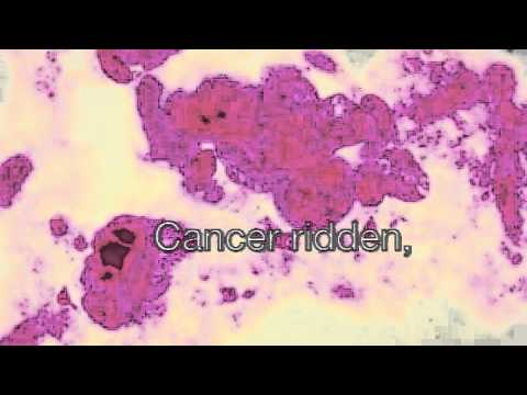 the immortal of henrietta lacks book report the immortal of henrietta lacks book trailer the immortal of henrietta lacks book report the immortal of henrietta lacks book trailer