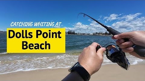Whiting Fishing at Dolls Point Beach